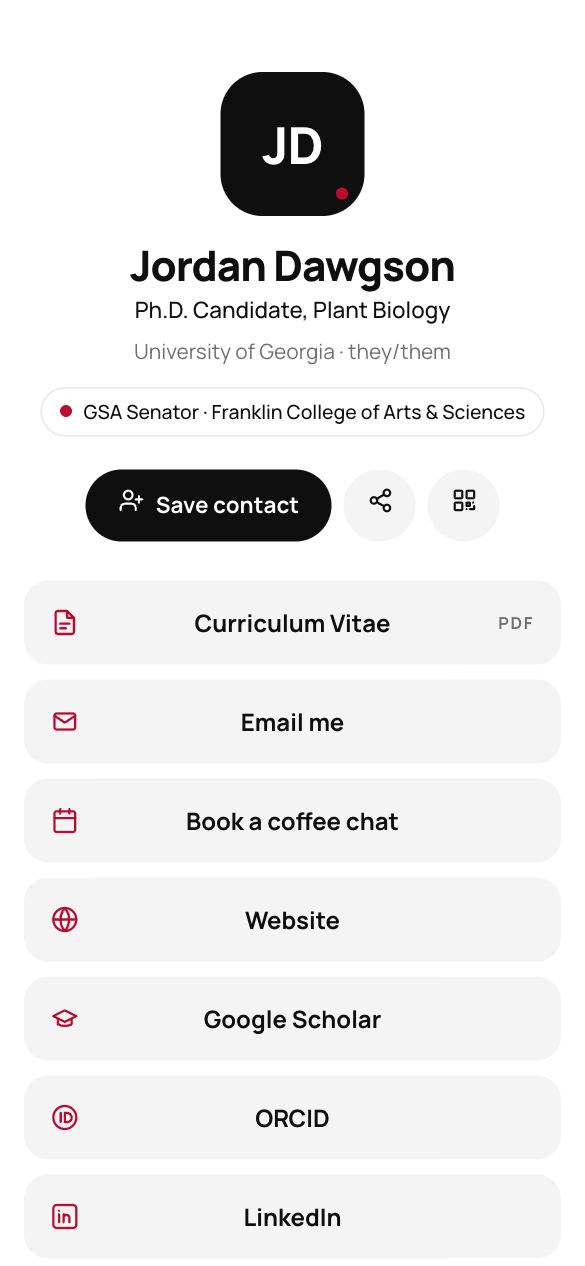 Minimal template preview
